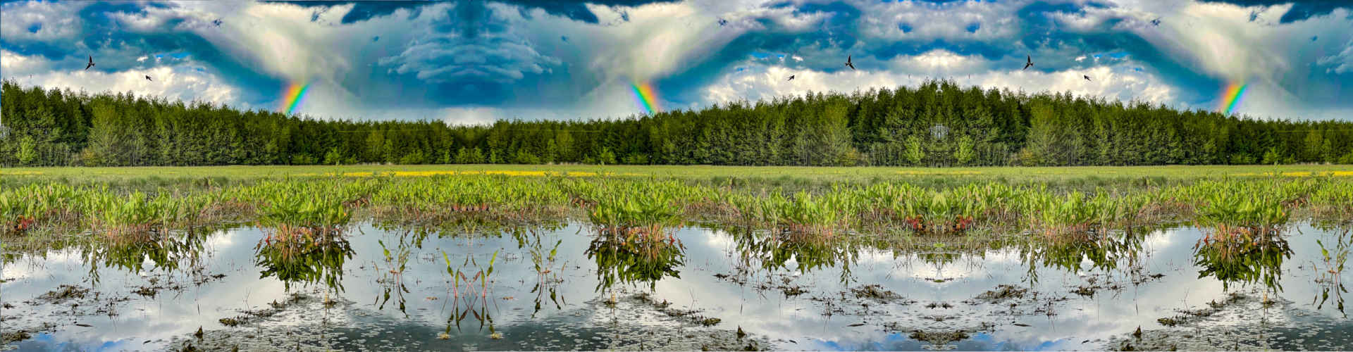 Mokřad Žabák u Lysé nad Labem
